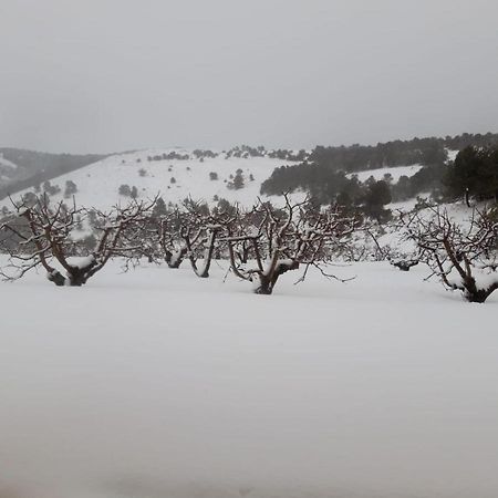 Finca La Foia El Pou Confrides 外观 照片