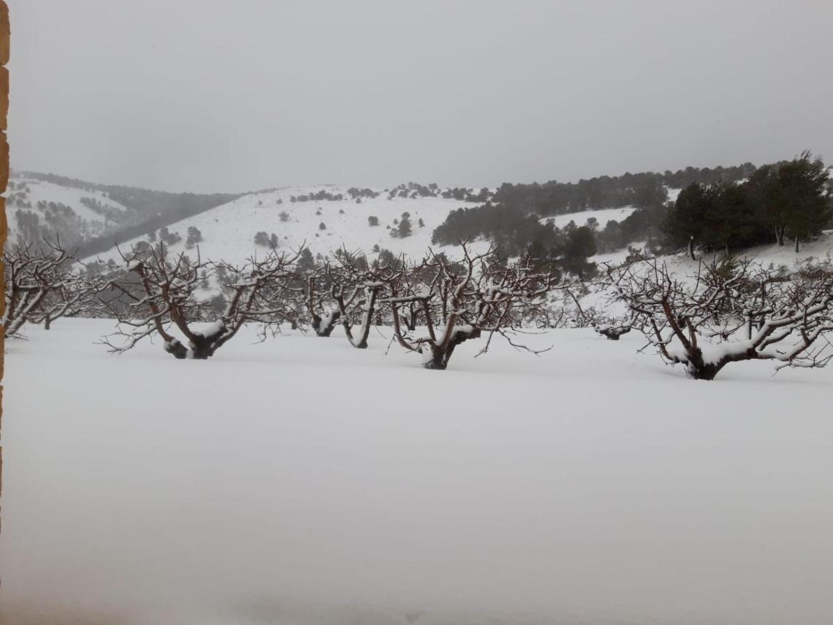 Finca La Foia El Pou Confrides 外观 照片